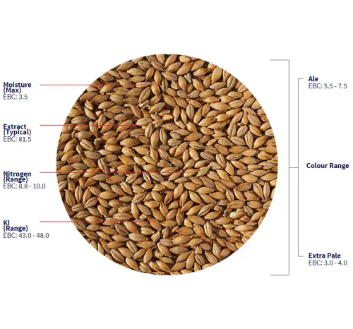 Maris Otter Ale Malt (5,5 - 8 EBC) - Crisp Malting