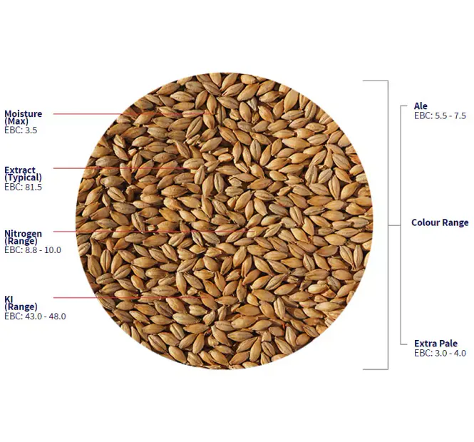 Hovedbilde Maris Otter Ale Malt (5,5 - 8 EBC) - Crisp ...