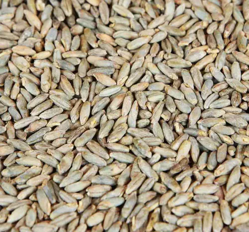 Rugmalt (4-10EBC) - Weyermann